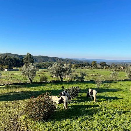 Quinta Da Barroca Do Cabo Acomodação com café da manhã Ázere Exterior foto