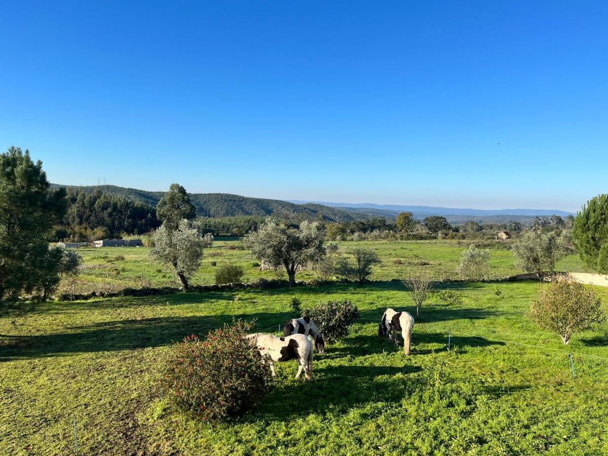 Quinta Da Barroca Do Cabo Acomodação com café da manhã Ázere Exterior foto