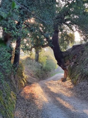 Quinta Da Barroca Do Cabo Acomodação com café da manhã Ázere Exterior foto