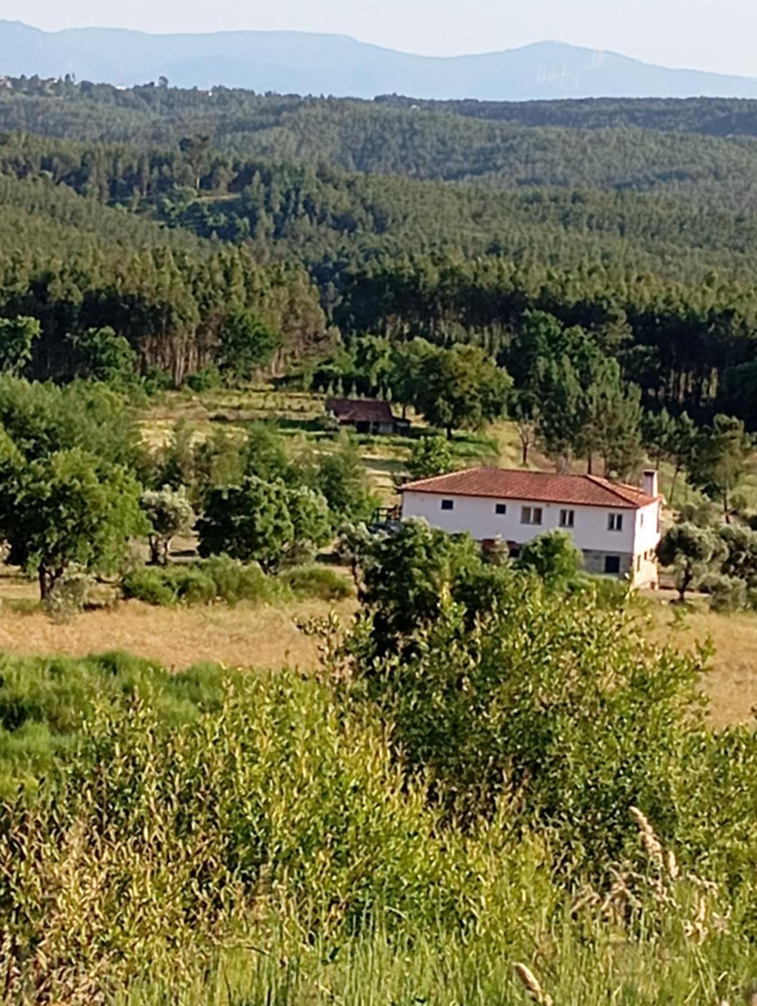 Quinta Da Barroca Do Cabo Acomodação com café da manhã Ázere Exterior foto